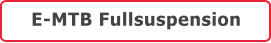E-MTB Fullsuspension