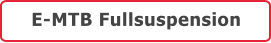 E-MTB Fullsuspension